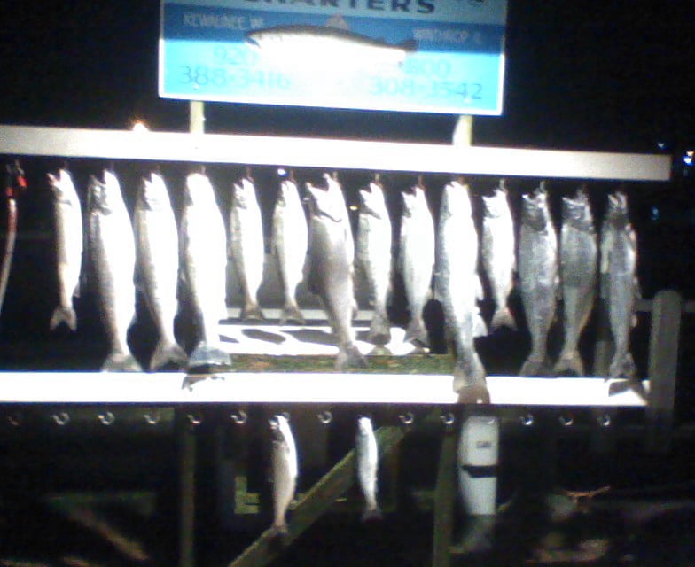 Fishin Again Charters 113